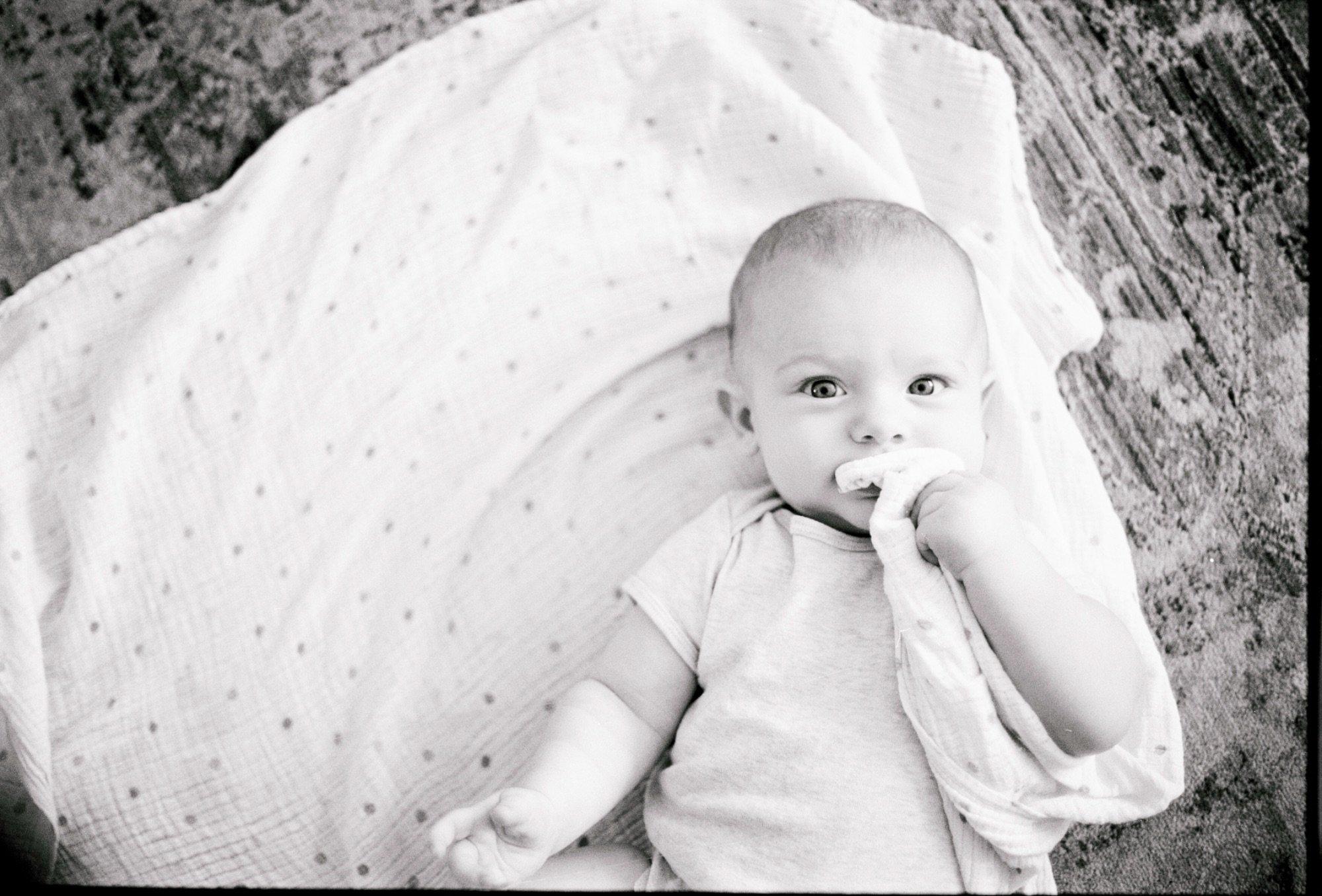 carousel-hero-element image-2